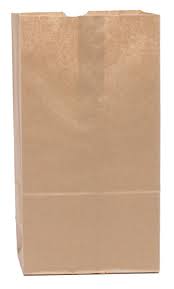 #12 Brown Paper Bags